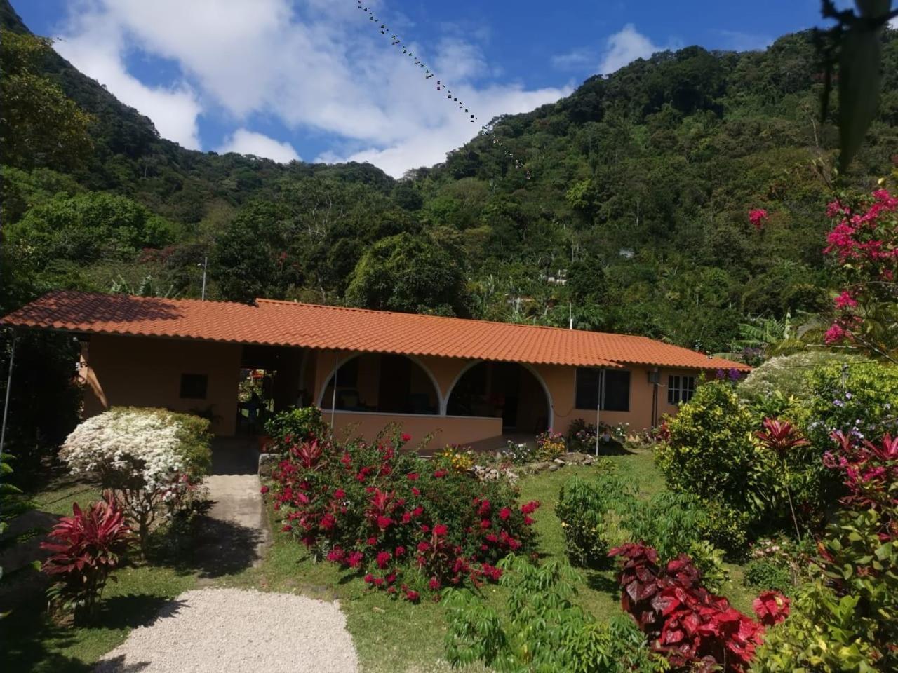 El Zumbito Habitación en casa particular *